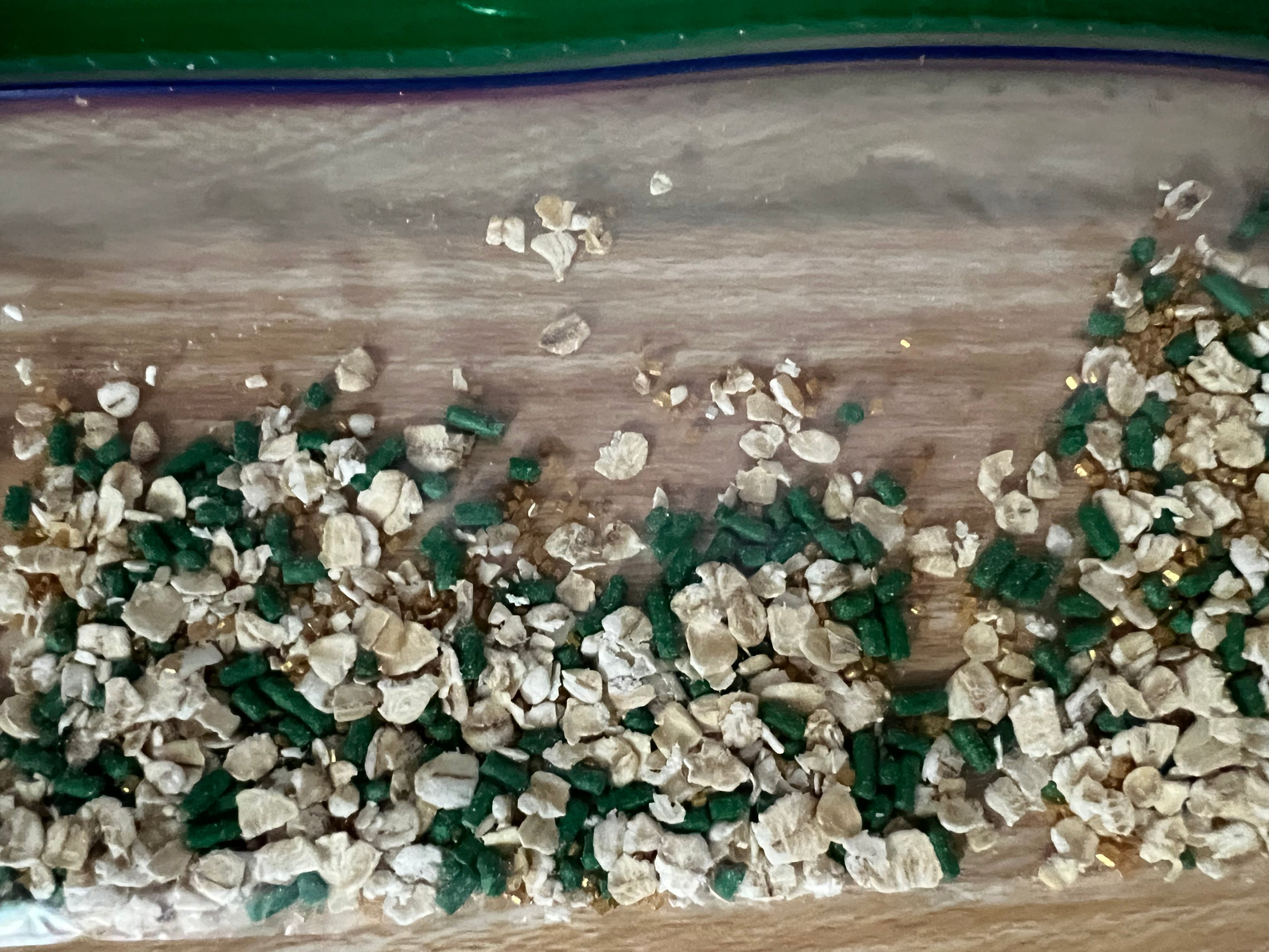 Leprechaun Bait Jar – Magical St. Patrick’s Day Kids Activity (2” Mini Jar)